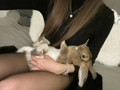 KirstenDanston Cake & Me Bilde 4