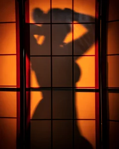 Greiz_SubKimura shades Pic 4