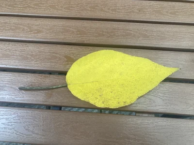 abcd100100 Public 사진 2