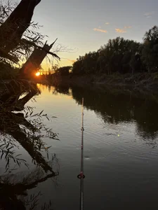 golovkin_ggg Фон 사진 4