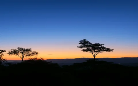 AlphaAlterXcasual moments 😎 Instantes casuales 👍 Bild