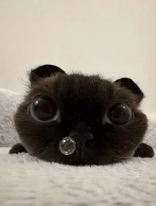 Zdjęcia KarriKasel Trop mignon 🧸🎀: 