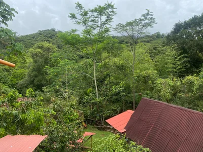 Veronikolsen- the jungles of my land Pic 4