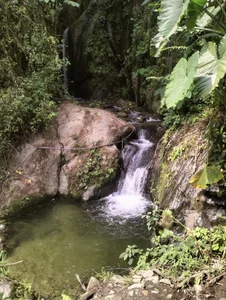 AshleyandCleo Nature Kuva 6