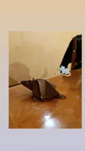 _HelenCarter My origami Pic 5