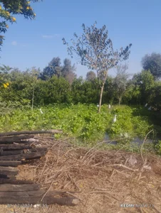 t_g1234tabangasex6: Public ( 4 фото)