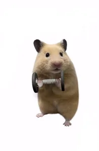 gooodboiii ☀️ Pic