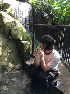 Soul_Catleya En la naturaleza Bilde 3