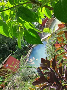 Paseo od Cataleya_ja  6 snímek