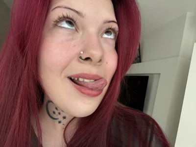 willowdrip Public зображення 3