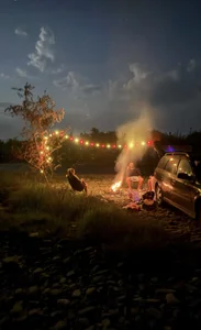 Romashka_1 Public Foto