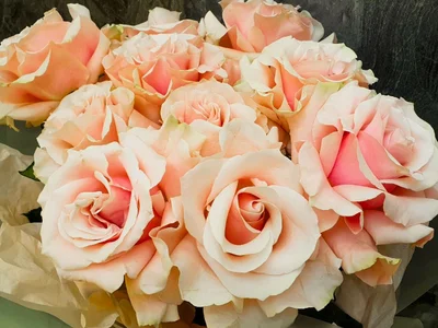 summer de LeonaLane  photos