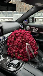 gracedorce's my dreams (wishlist ) Sex Photo 3