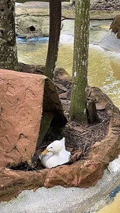 💗✨ od amber_luz_hot  7 snímek