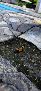 _onthary_6 Public Billede 5