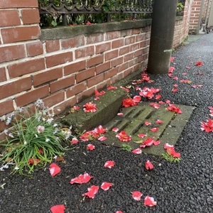 Public de minami_room  5 photos