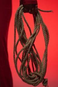 KarolinaRobinson miss me.  2. fénykép