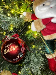 Leila_Carteer Mxmas🎄 صورة واحدة|Leila_Carteer Mxmas🎄 صورتان|Leila_Carteer Mxmas🎄  4 صور|Leila_Carteer Mxmas🎄  4 صورة