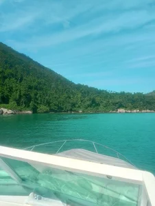 thm99 Public Bilde 5