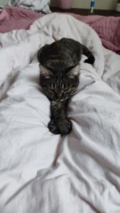 VandaRossiのMy favorite Splyushka😻 Splyushka will be glad of your financial support♥の 7枚の写真