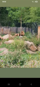 nmyour Public зображення 3