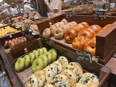 zzoo777 Public Bilde 3