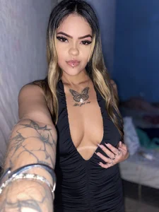 Intensa de Gatinhaintensa  3 Imagens