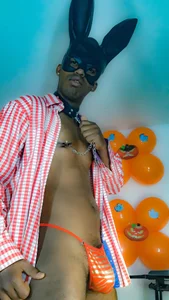 mrjhon26のSexy rabbitの 4枚の写真