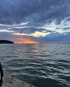 paulacora's photo