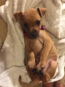 HungHawaiian808@xh Public 사진 2