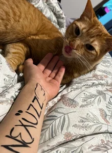 names the my FANS very soon all names de incognimeow  5 photos