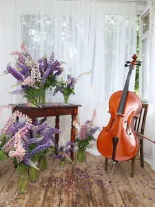 Vanessa_Nowak When they say that they do not understand modern art, I want to ask, do you understand the Renaissan 사진 6