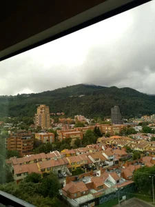 SweetFortuner 🍃 Pic 6