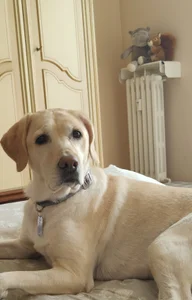 AnastasiaAniess ❤️ALPHA OUR MASCOTTE ❤️ Pic