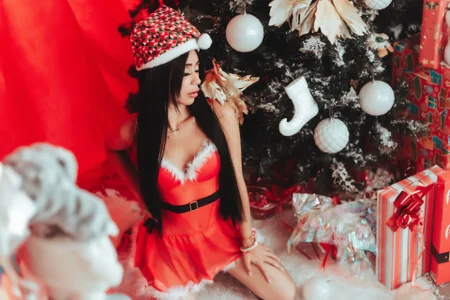 Merry Christmas 2022 ⛄ de NinaWong Foto 5