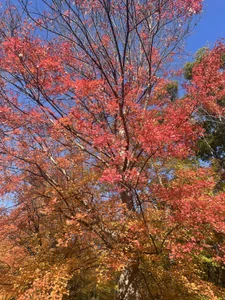 -Kasumi- Public Pic 5