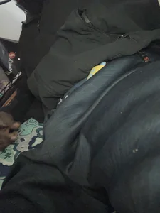 DangoD215 Public Gambar