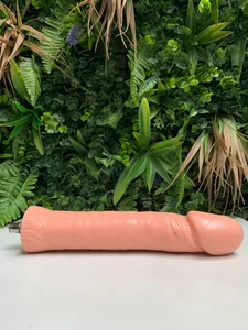 ChannelFox__ MY TOYS Which one do you want to play with? Hình 3