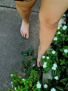 JerseyGem: Public ( 4 фото)