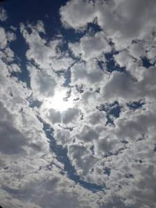 rodovlaz Public صورة واحدة|rodovlaz Public صورتان|rodovlaz Public  2 صور|rodovlaz Public  2 صورة