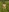 Taisia_W's photo