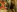 HYPHYtype's photo