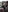 Tatjana_Sue's photo