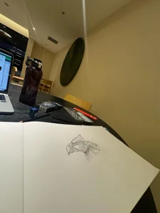 MoshedAikido From my sketchbook . fénykép