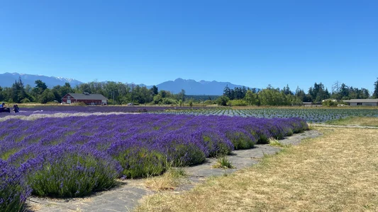 Snarfle82 Beautiful west coast skies Pic 5