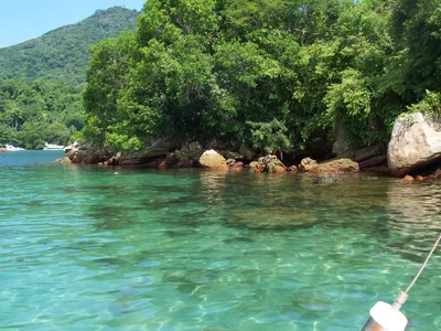 fleky viajes Billede