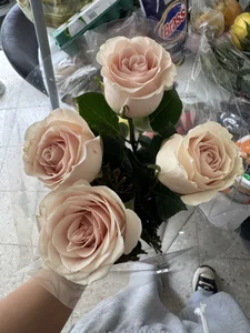 Flowers that my users have given me, I love them, thank you. ❤️ de kaithra Foto