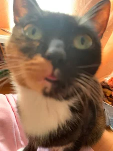 liana_kisses 😸 Pic