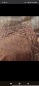 jhonschen's Ma....buongiorno.... Sex Photo 9