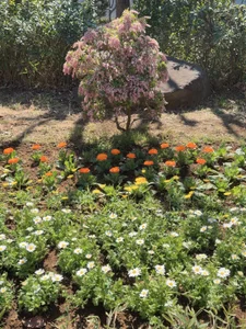 UTATANE_のPublicの 5枚の写真